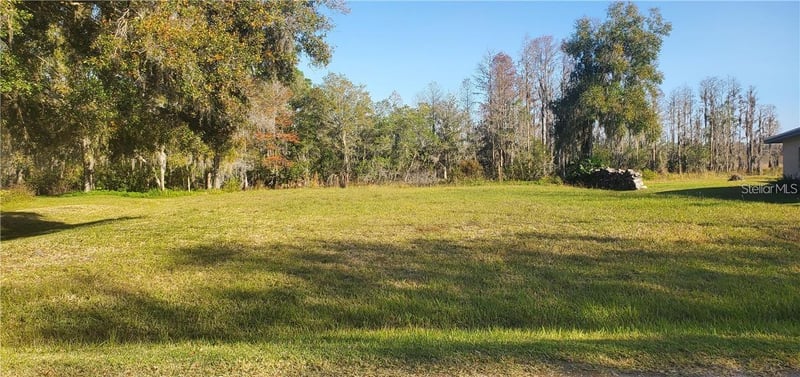 11124 Lake Shore Dr, Land O Lakes, FL 34637