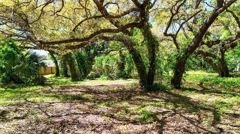 9240 Creston Ave, New Port Richey, FL 34654