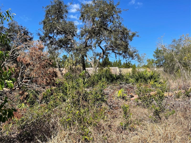 16883 Dry Tortugas Rn, Hudson, FL 34667