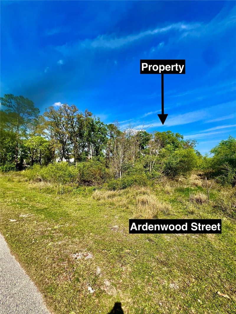 Ardenwood St, Tampa, FL 33625