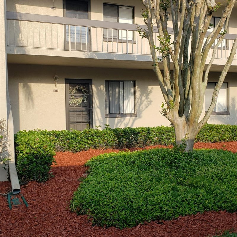 113 Nina Way #113, Oldsmar, FL 34677