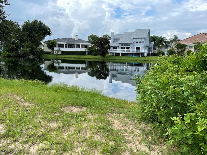2042 Pointe Alexis Dr, Tarpon Springs, FL 34689