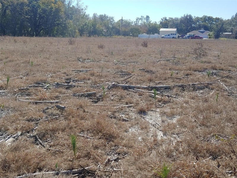Trapnell Rd, Plant City, FL 33566