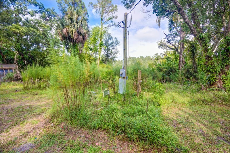 7408 Tom Dr, Land O Lakes, FL 34638
