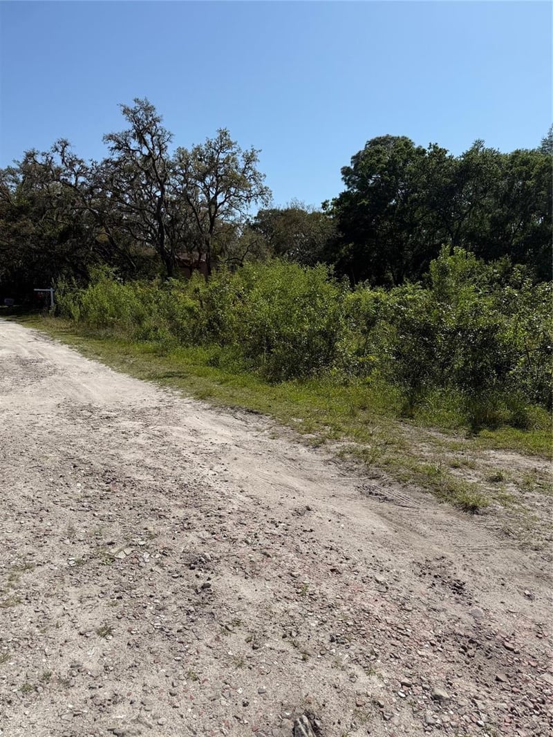 Elza St, New Port Richey, FL 34654