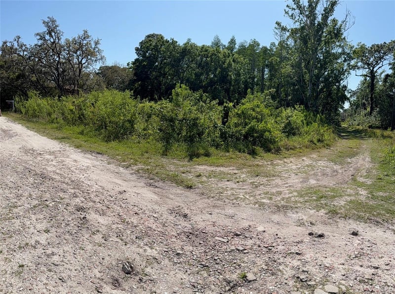 Elza St, New Port Richey, FL 34654