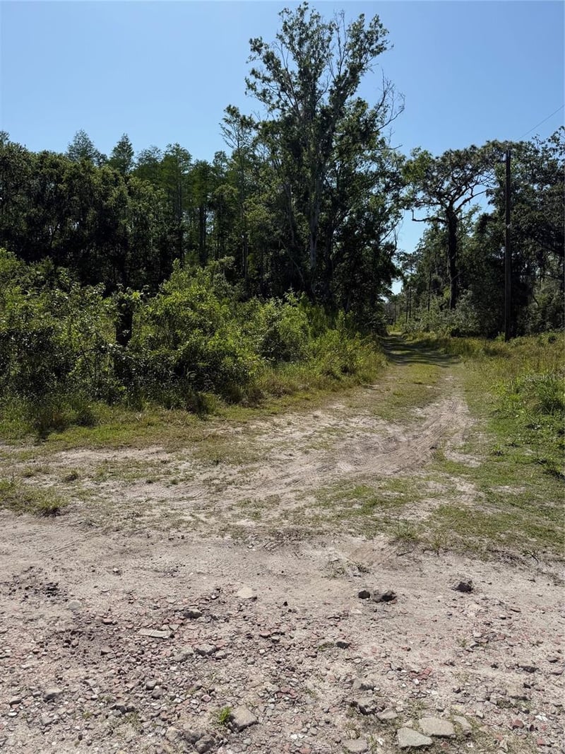 Elza St, New Port Richey, FL 34654