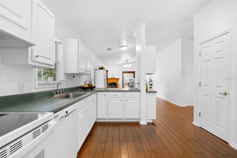 13015 Elm St, Odessa, FL 33556