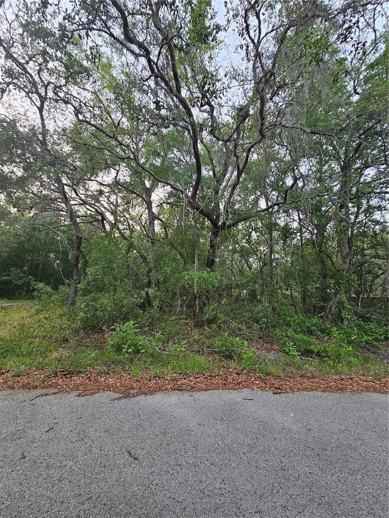 00 Doaks St, New Port Richey, FL 34654