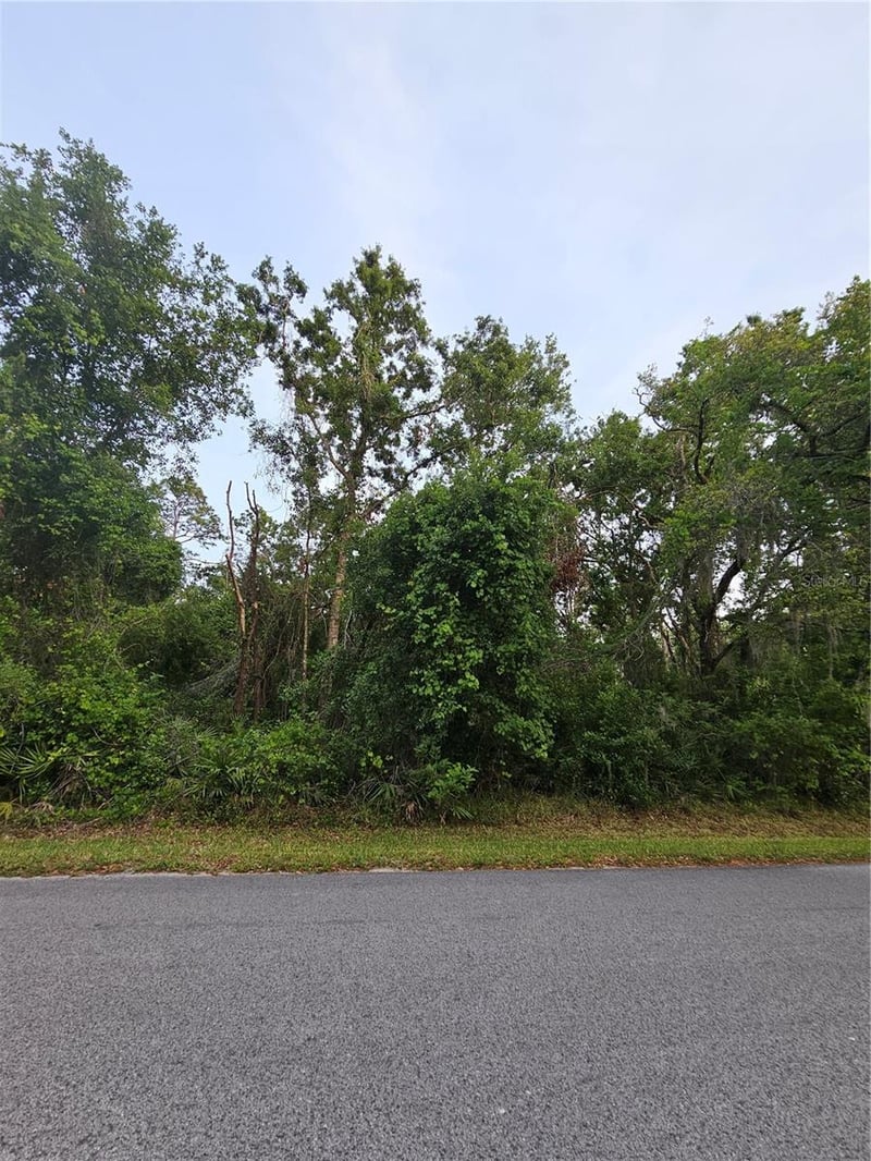 00 Gurnee Ave, New Port Richey, FL 34654