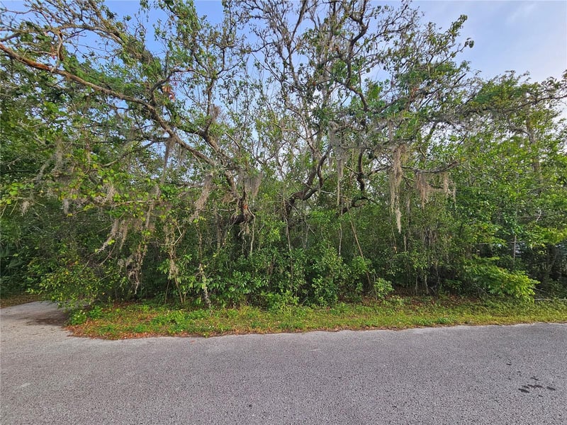 00 Valimar Rd, New Port Richey, FL 34654