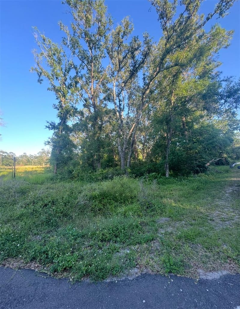 14805 Berkford Ave, Tampa, FL 33625