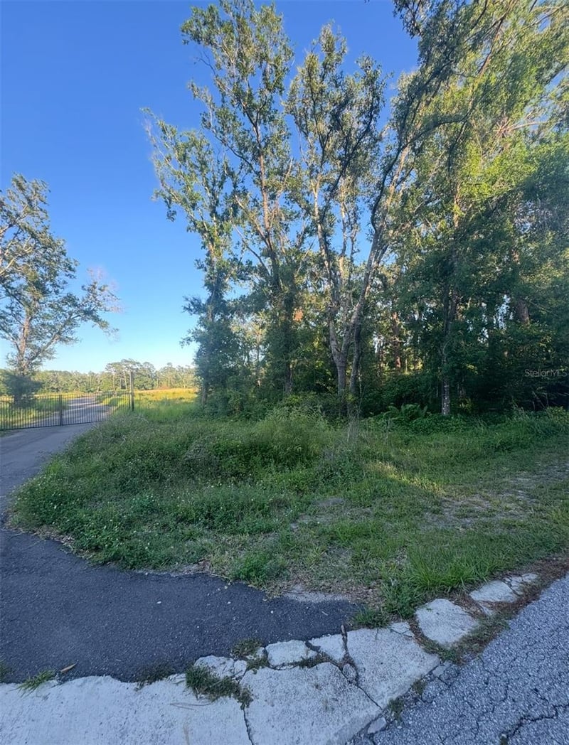 14805 Berkford Ave, Tampa, FL 33625