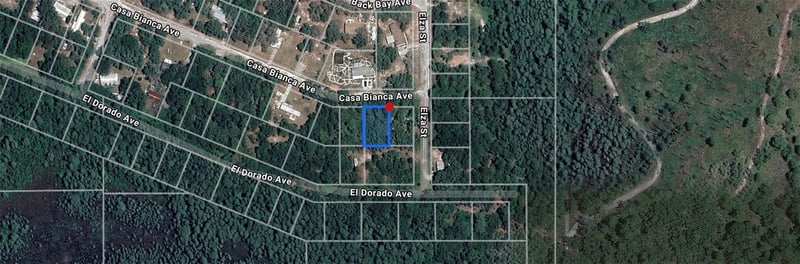 Casa Bianca Ave, New Port Richey, FL 34654