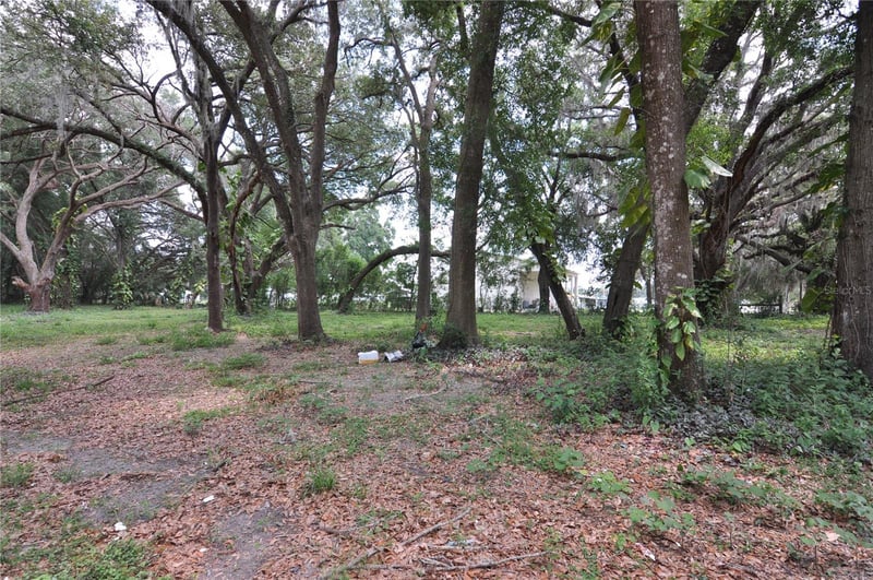 6734 20th St, Zephyrhills, FL 33542