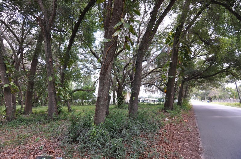 6734 20th St, Zephyrhills, FL 33542