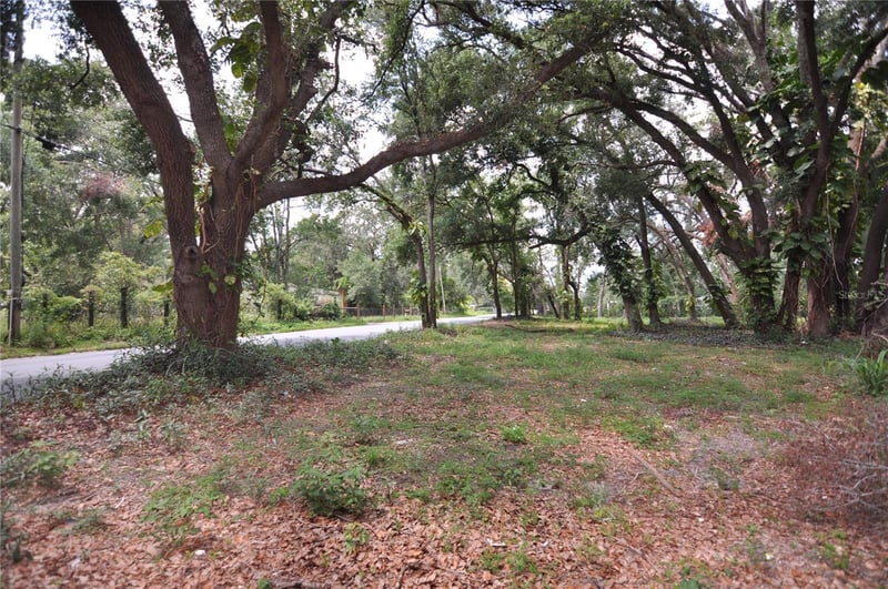 6734 20th St, Zephyrhills, FL 33542
