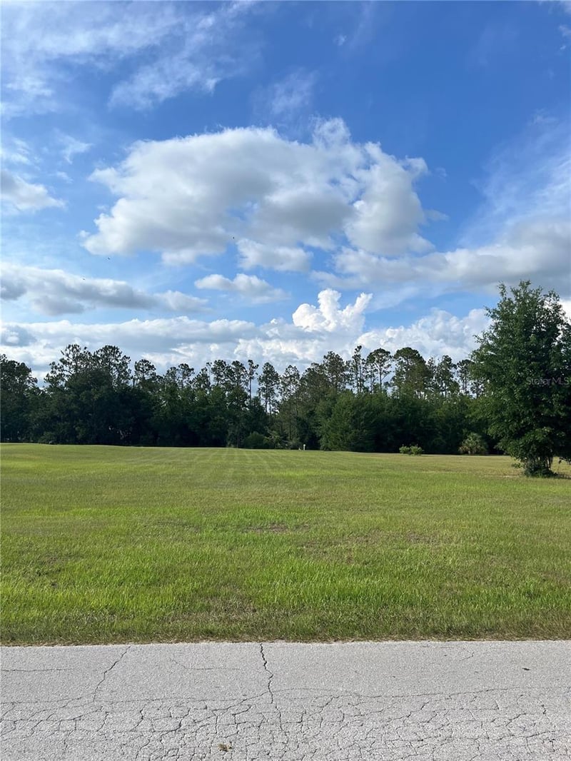 12940 Curley , San Antonio, FL 33576