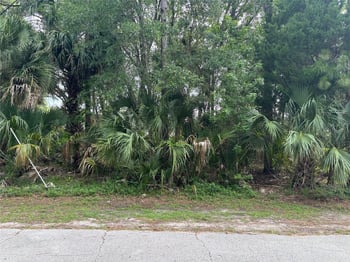 41 Poplar Dr, Palm Coast, FL 32164