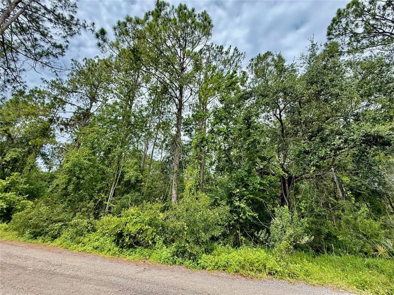 Westpoint Dr Lot 474, Wesley Chapel, FL 33544