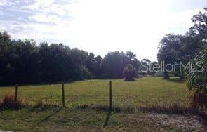 Redfish St, Hudson, FL 34667