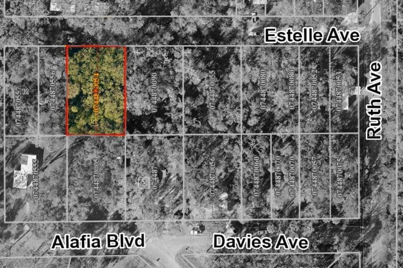 931 Estelle Ave, Brandon, FL 33511