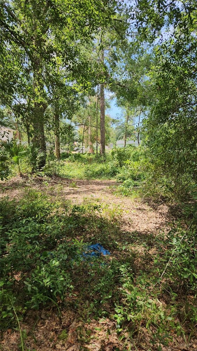 7624 Anno St, Tampa, FL 33625