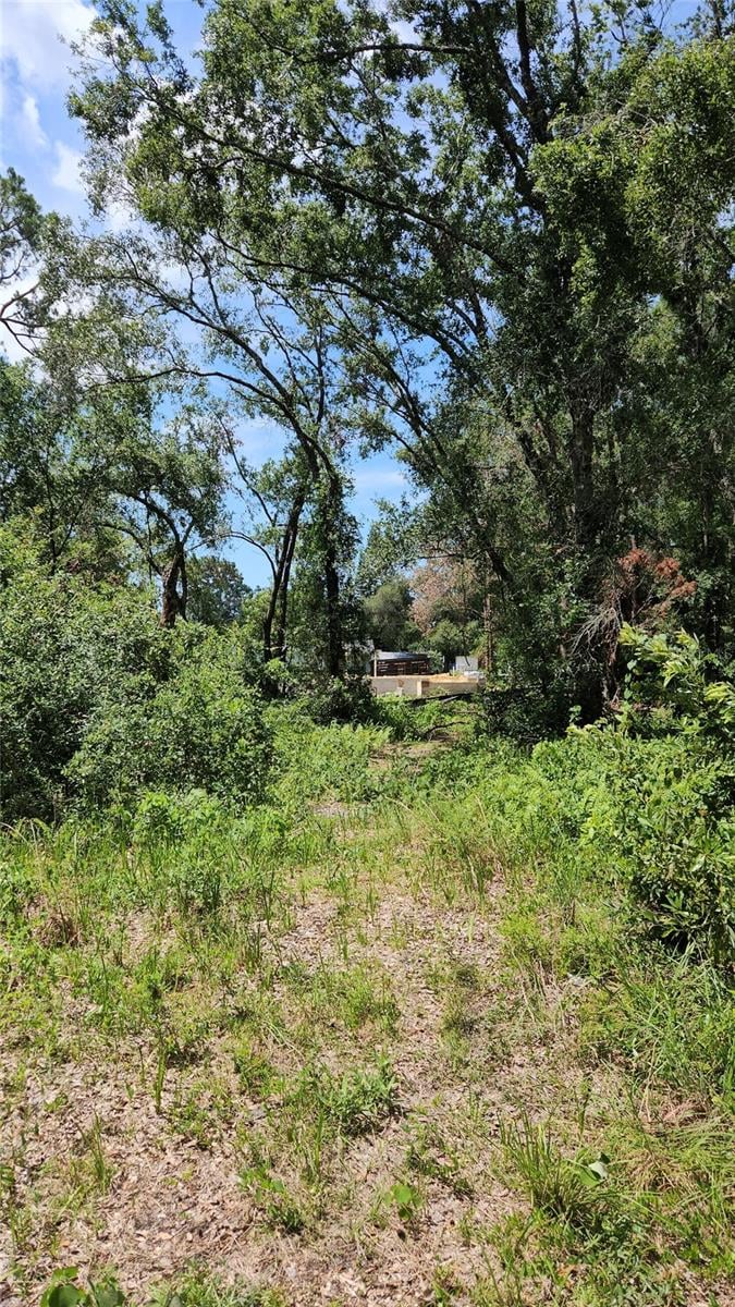 7624 Anno St, Tampa, FL 33625