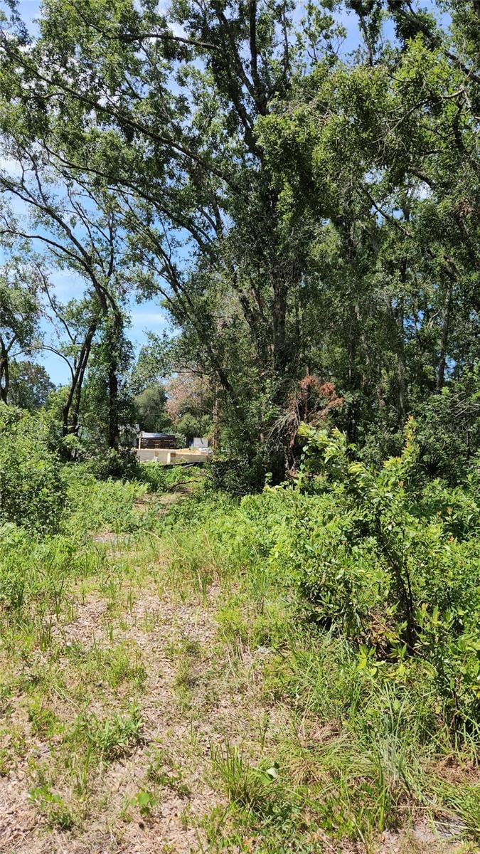 7624 Anno St, Tampa, FL 33625