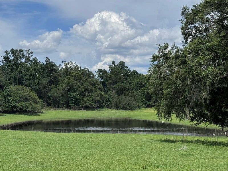 20716 Ramer Rd, Dade City, FL 33523