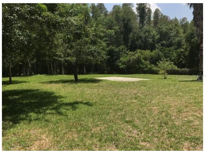 14969 Ogden Loop, Odessa, FL 33556