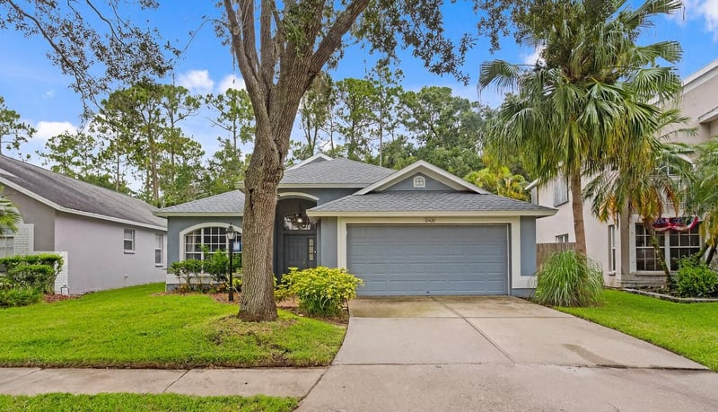 10420 Springrose , Tampa, FL 33626