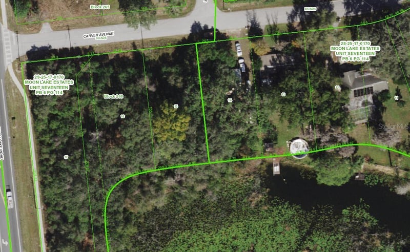 Carver , New Port Richey, FL 34654