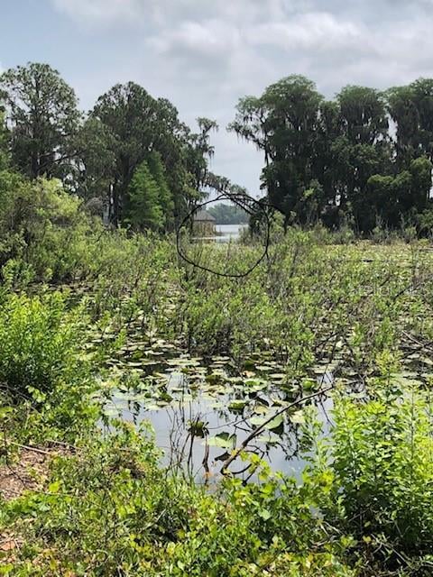 Carver , New Port Richey, FL 34654