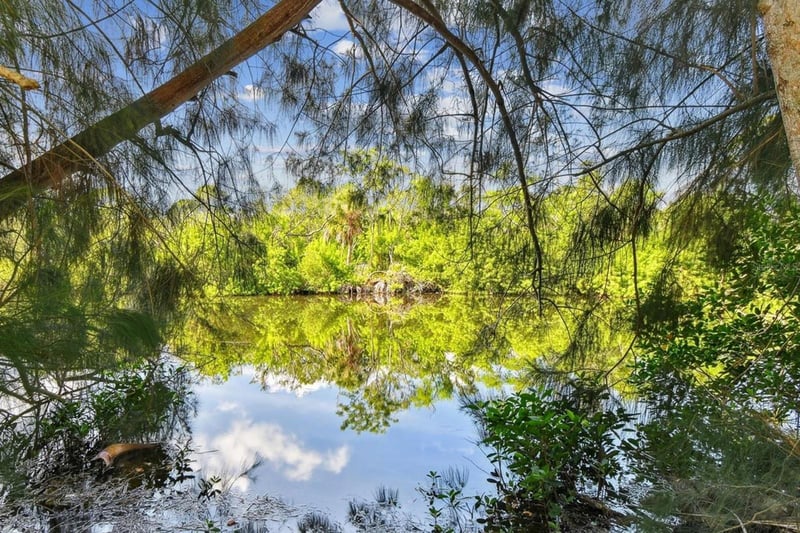 5909 Mohr Rd, Tampa, FL 33615