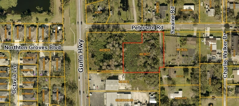 Peterson Rd, Odessa, FL 33556