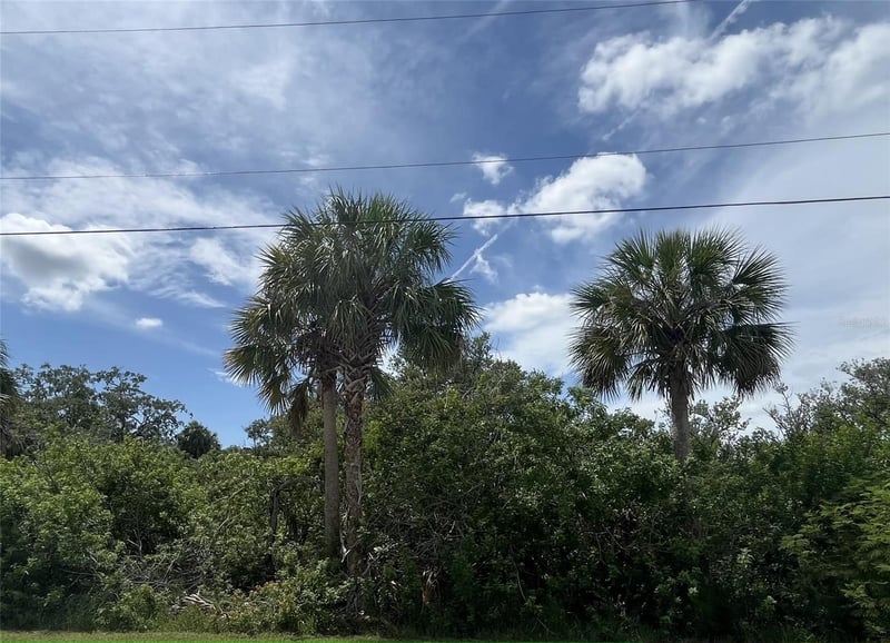 Betty St, Port Richey, FL 34668