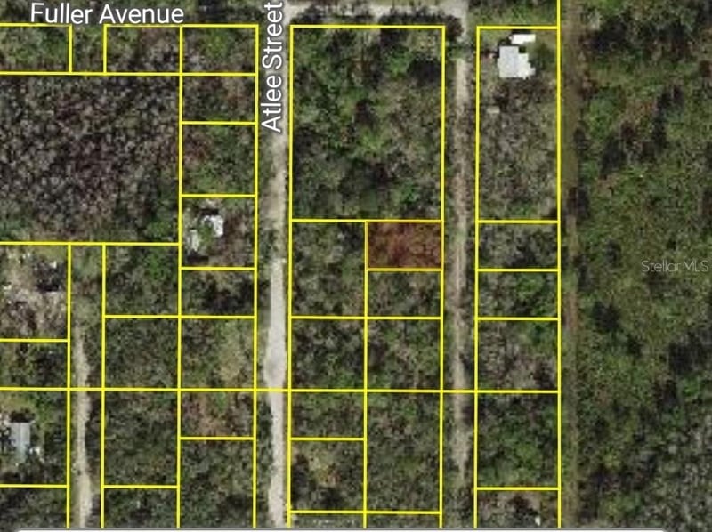 Evergreen St, New Port Richey, FL 34654