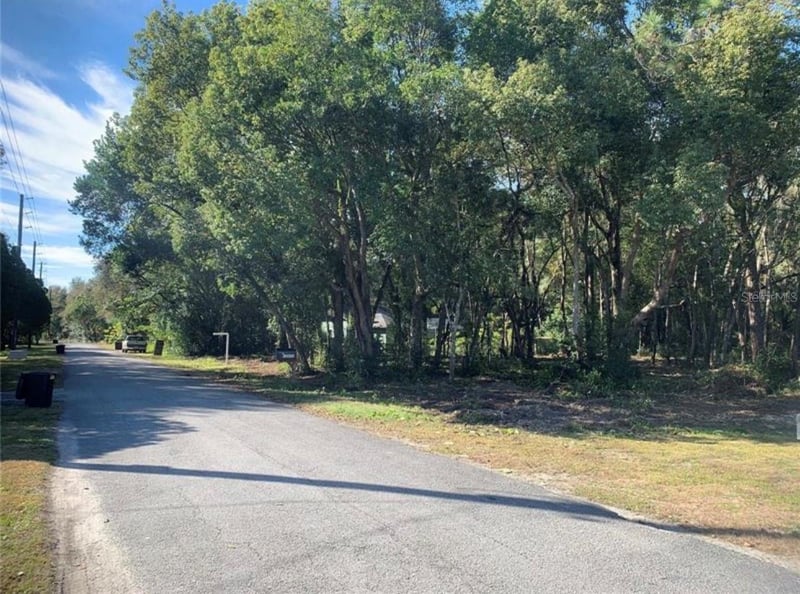 Dvorak Dr, Spring Hill, FL 34610