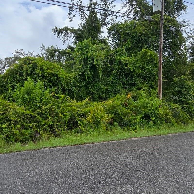 Waddell , New Port Richey, FL 34654