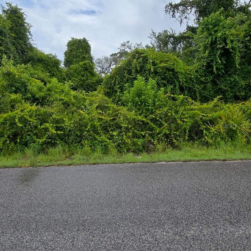 Waddell , New Port Richey, FL 34654