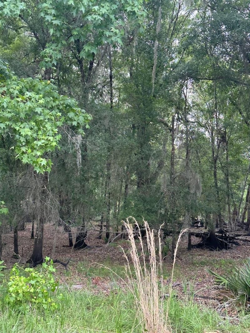Palamino Lake Dr, Dade City, FL 33523