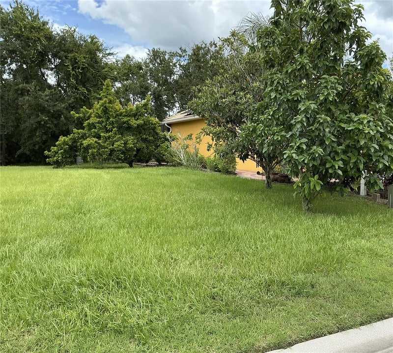 21049 Los Cabos Ct, Land O Lakes, FL 34637