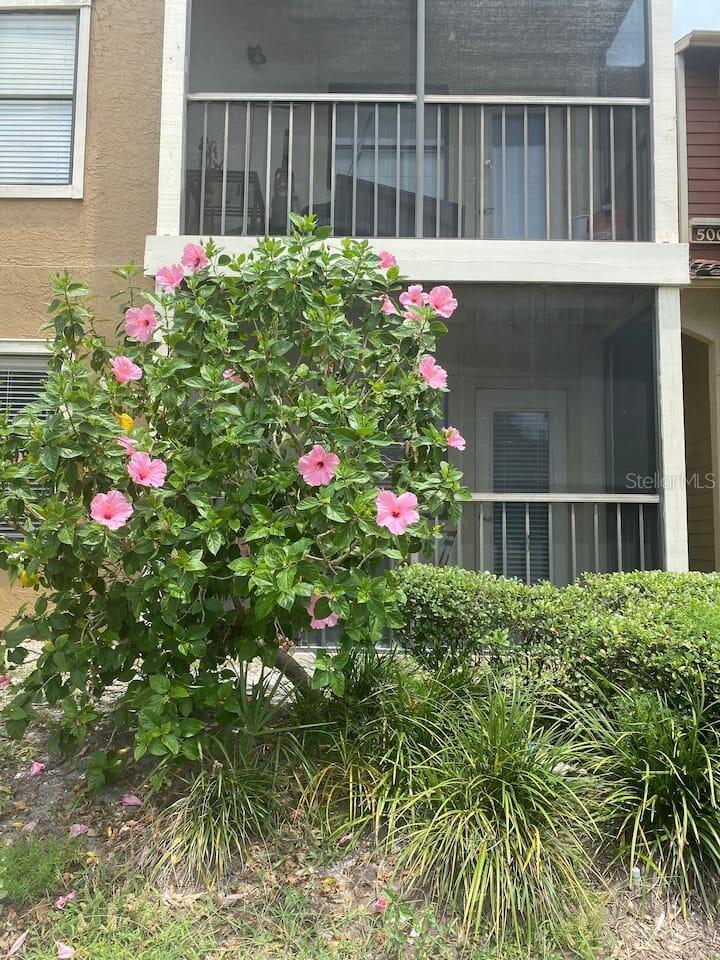 11901 4th St #5101, St Petersburg, FL 33716