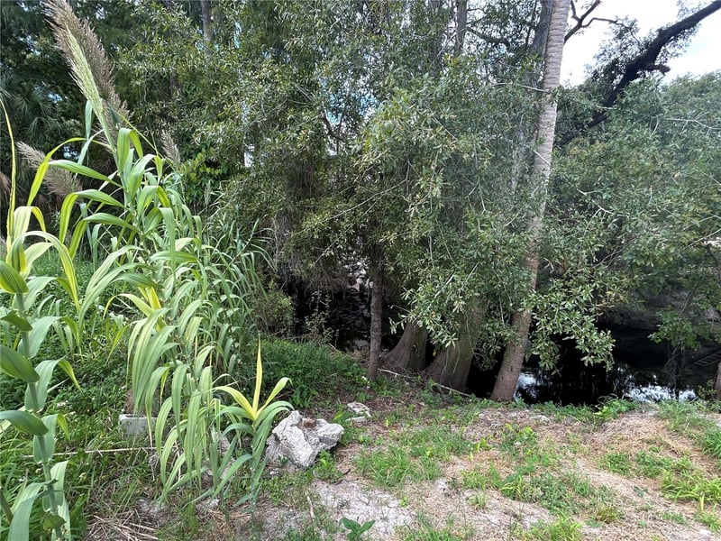 Lot 16 Riverrun Rd, New Port Richey, FL 34655