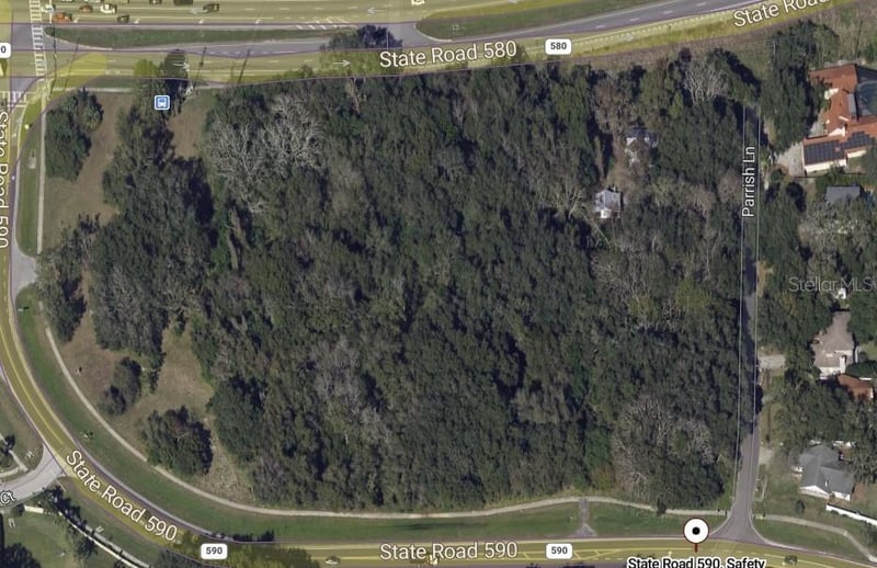 Philippe , Safety Harbor, FL 34695