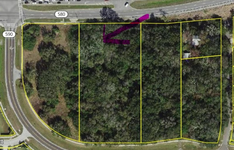 Philippe , Safety Harbor, FL 34695