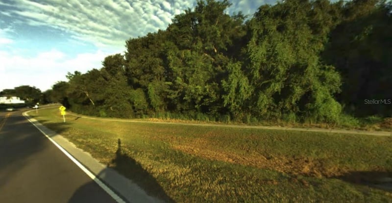 Philippe , Safety Harbor, FL 34695