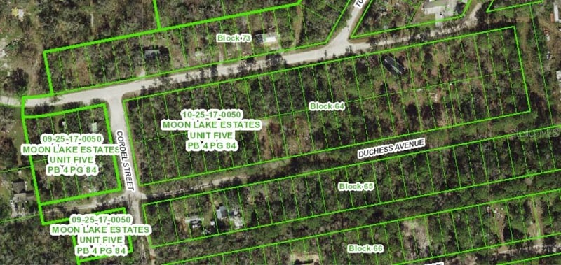 13027 Duchess Ave, New Port Richey, FL 34654