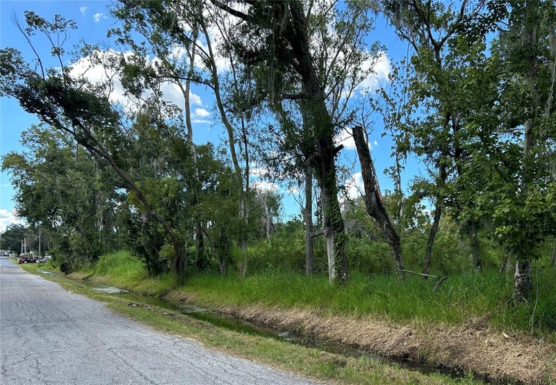 Seminole Lake Blvd & Hickman Ave, Plant City, FL 33563
